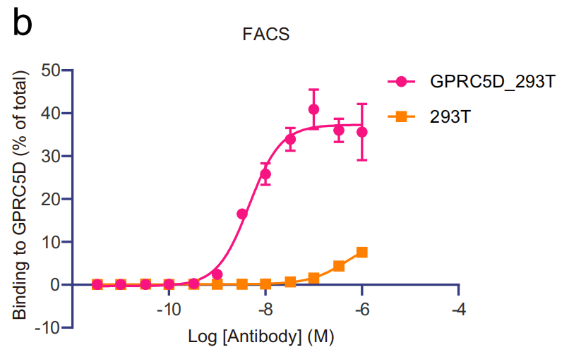 The binding mechanism of an anti multiple myeloma antibody to the human GPRC5D homodimer